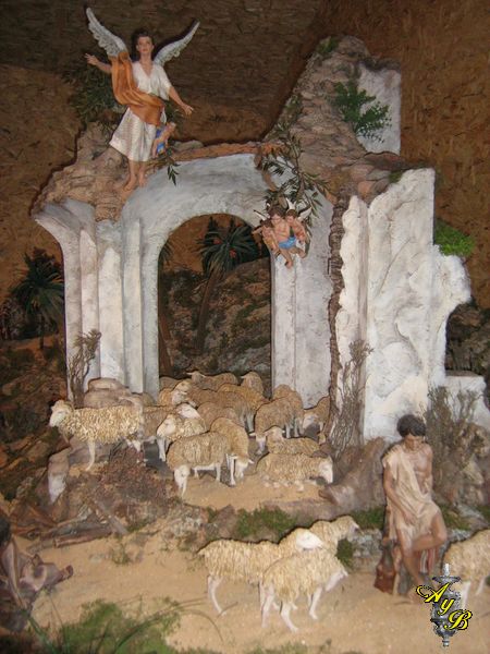 [IMG_1745+[800x600].jpg]